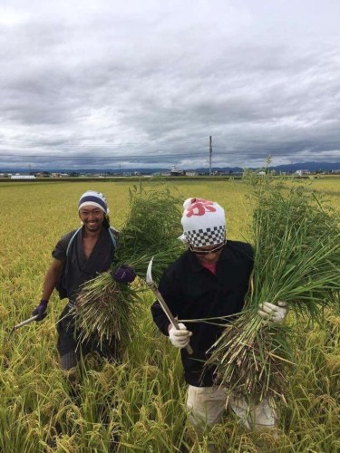 14317546_10206912296904426_3192165536986333791_n