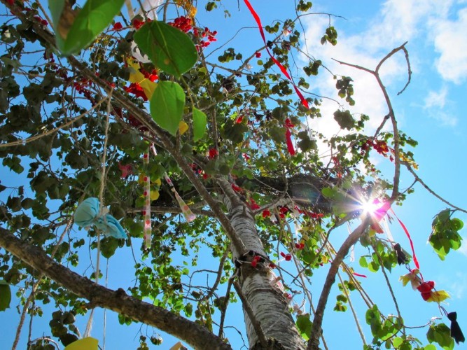 日本とインディアンの精神