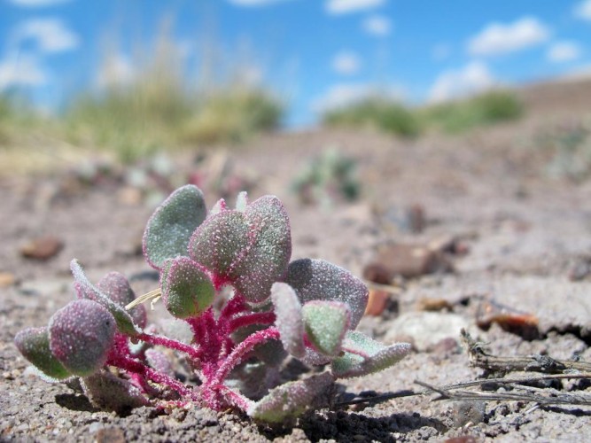 個人と社会の自己実現